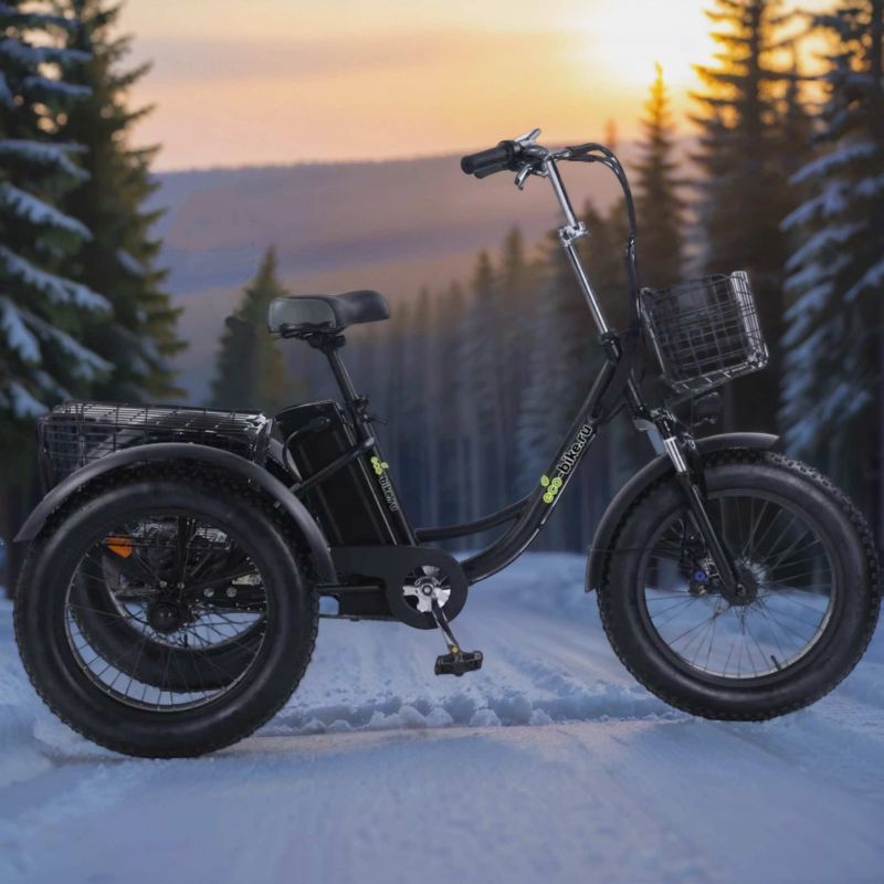 Трехколесный электровелосипед Fat Trike T Zima